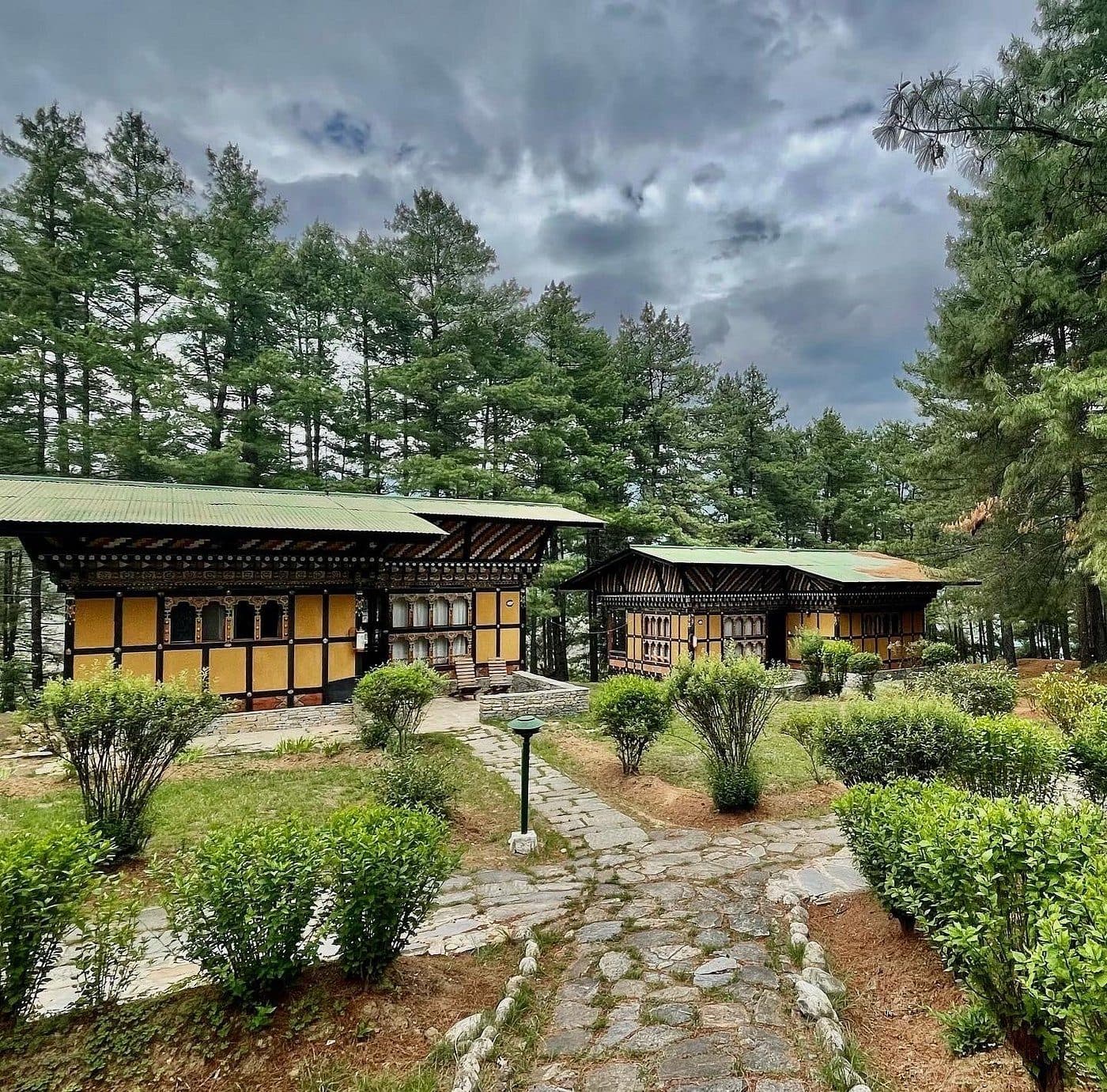 Stone path between Bhutanese cottages under pine trees